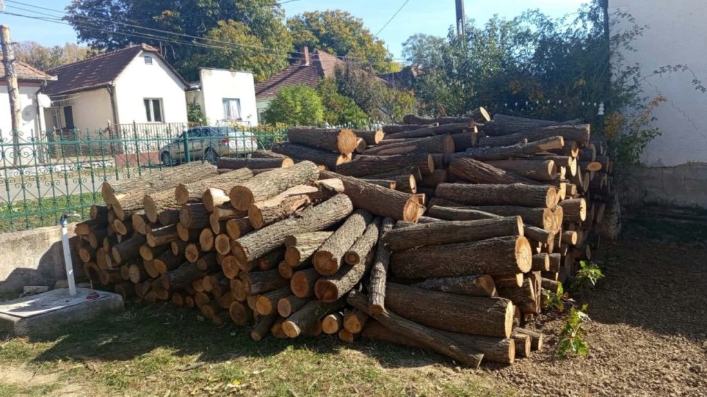 Tüzifa Szalmatercs 1.